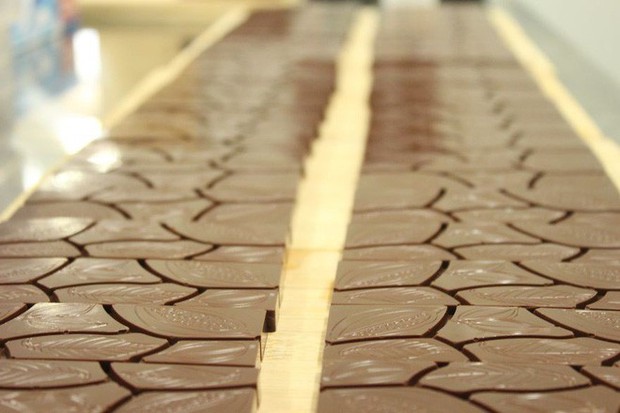Hành trình biến hạt ca cao thành món chocolate vạn người mê qua lời kể của người thợ lành nghề - Ảnh 20.