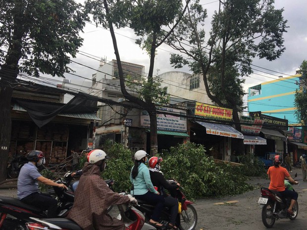 Hàng loạt cây xanh bật gốc đè nát ô tô, bảng hiệu bị hất bay tứ tung trên phố Sài Gòn vì gió lớn - Ảnh 5.