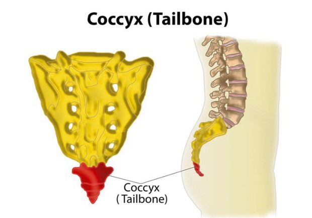 Chơi trượt nước về thấy... đau mông dữ dội: có thể bạn đã chấn thương ở bộ phận ít ai ngờ đến - Ảnh 1.