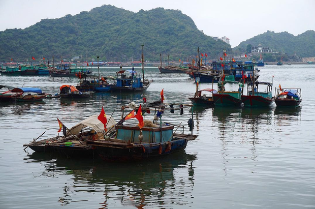 Hè này không đến thăm vịnh Lan Hạ - thiên đường bị bỏ quên ở Hải Phòng là cả một niềm tiếc nuối đấy! - Ảnh 11.