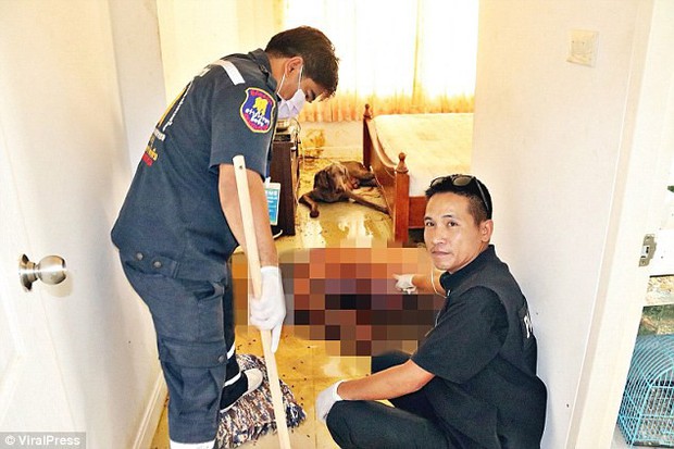 Thái Lan: Người đàn ông đột ngột qua đời trong nhà riêng, bị chó cưng ăn mất một phần gương mặt - Ảnh 1.