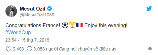 Vô địch World Cup 2018, đội tuyển Pháp được cả thế giới chúc mừng - Ảnh 5.