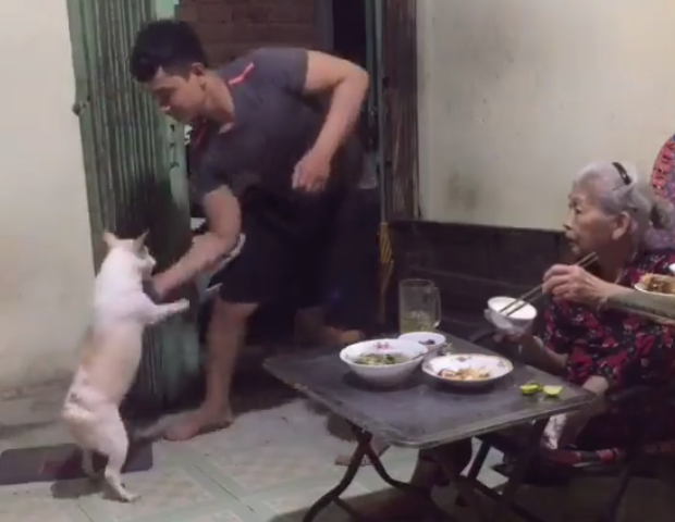 Clip: Sen và boss cùng nhau khiêu vũ, bà nội ngồi cạnh ngỡ ngàng không hiểu 2 đứa nó làm sao - Ảnh 2.