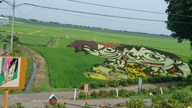 Nông dân Nhật biến ruộng lúa thành các hình vẽ truyện tranh để tưởng nhớ họa sĩ huyền thoại Osamu Tezuka - Ảnh 4.