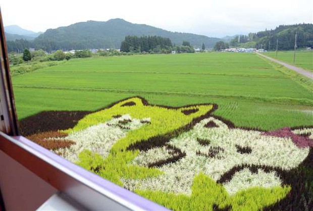 Nông dân Nhật biến ruộng lúa thành các hình vẽ truyện tranh để tưởng nhớ họa sĩ huyền thoại Osamu Tezuka - Ảnh 5.