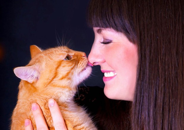 Why do cats lick you?  There are a lot of surprising truths behind that action that everyone who owns cats needs to know - Photo 3.