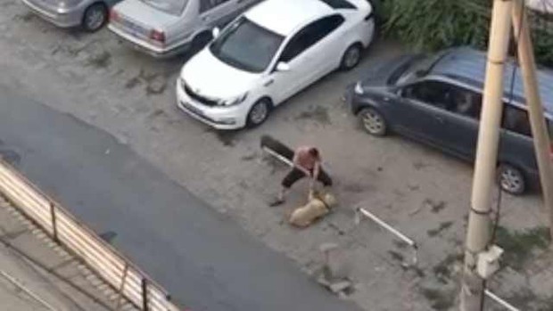 Trung Quốc: Người đàn ông công khai đánh đập chó dã man để moi tiền của những người yêu động vật - Ảnh 2.