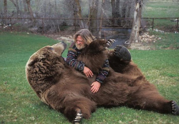 7 người bạn gấu mà ai cũng cực kì yêu mến trên màn ảnh rộng - Ảnh 8.