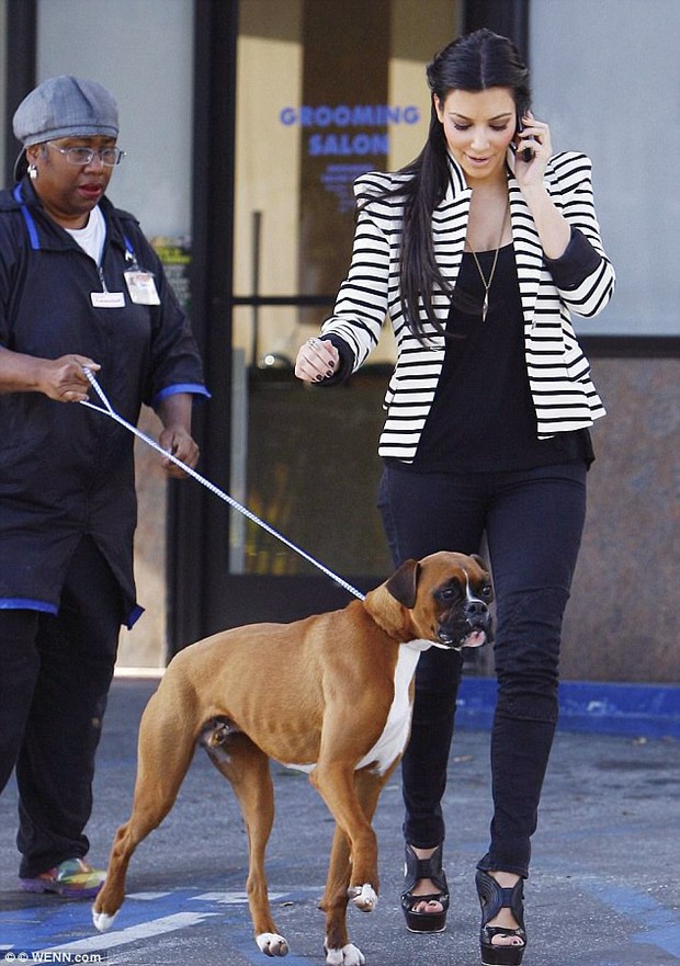 Kim Kardashian spent more than 300 million to buy fake private parts for her sterilized dog - Photo 1.