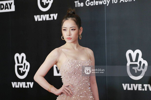 Thảm đỏ đêm nhạc Hàn-Việt: Jung Hae In, WINNER đẹp trai cực phẩm, Chi Pu và Hòa Minzy đọ sắc cùng loạt sao Việt - Ảnh 13.