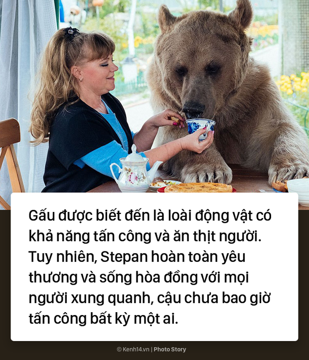 Coi gấu mồ côi như con, cặp vợ chồng Nga đã chung sống với gấu 25 năm - Ảnh 9.