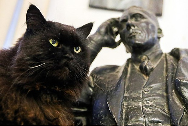 Những chú mèo nổi tiếng “làm việc” cho các viện bảo tàng ở Nga - Ảnh 1.