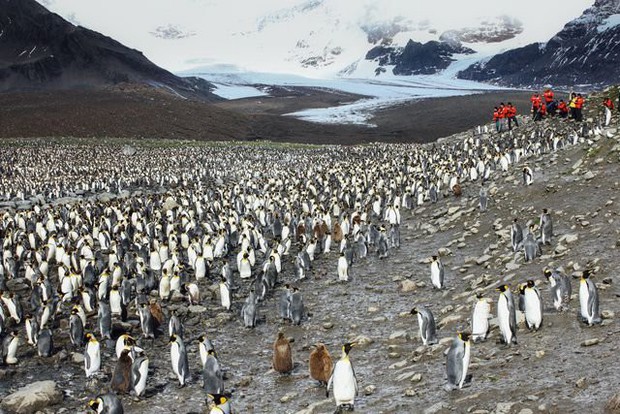 Công việc của những người làm ở Nam Cực: vắng vẻ mà chẳng bình yên, có dự báo thời tiết “sai” nhất thế giới - Ảnh 5.
