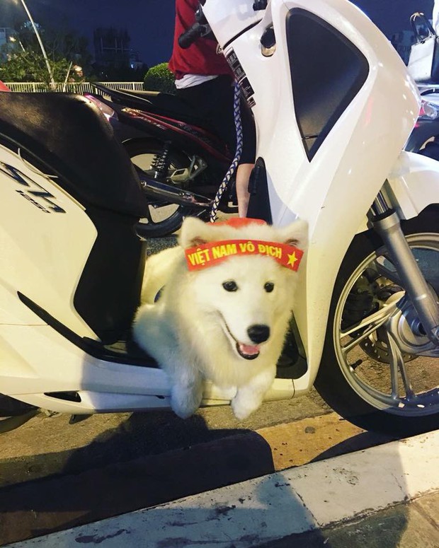 Giữa biển người đi bão đêm qua, có một dàn boss cũng hoà vào đám đông hớn hở không kém - Ảnh 17.