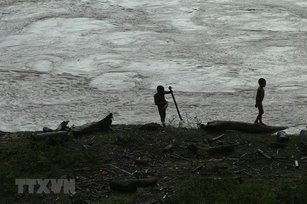 Hình ảnh trẻ em Điện Biên liều mình vớt củi giữa dòng nước lũ - Ảnh 4.