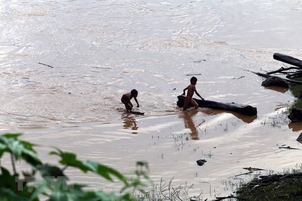 Hình ảnh trẻ em Điện Biên liều mình vớt củi giữa dòng nước lũ - Ảnh 5.