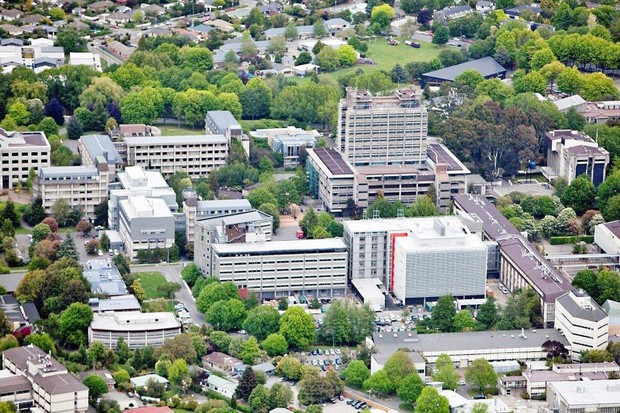 New Zealand chỉ có 8 trường đại học nhưng cả 8 đều lọt top 3% trường tốt nhất thế giới! - Ảnh 4.