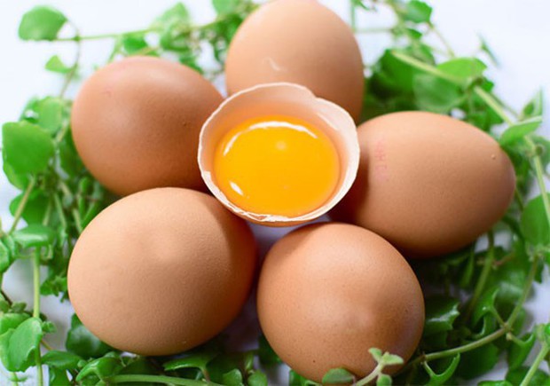 Ai cũng sợ ăn trứng gà làm tăng cholesterol nhưng mỗi ngày ăn một quả trứng gà sẽ nhận được lợi ích ai cũng muốn như sau - Ảnh 1. Ai cũng sợ ăn trứng gà làm tăng cholesterol nhưng mỗi ngày ăn một quả trứng gà sẽ nhận được lợi ích ai cũng muốn như sau - Ảnh 1.