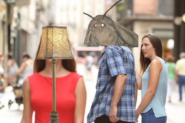 Nguồn gốc của loạt meme con bướm đêm và chiếc đèn đang khuynh đảo Internet - Ảnh 6.