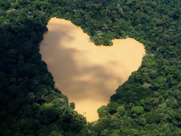 24 bức ảnh cho thấy rừng Amazon từ lá phổi xanh của thế giới đã trở thành chứng tích cho sự tàn phá của con người - Ảnh 1.