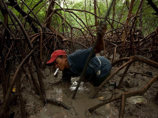 24 bức ảnh cho thấy rừng Amazon từ lá phổi xanh của thế giới đã trở thành chứng tích cho sự tàn phá của con người - Ảnh 13.