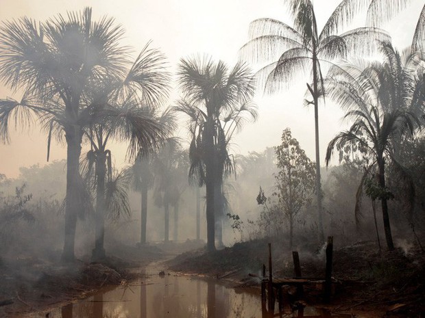 24 bức ảnh cho thấy rừng Amazon từ lá phổi xanh của thế giới đã trở thành chứng tích cho sự tàn phá của con người - Ảnh 15.