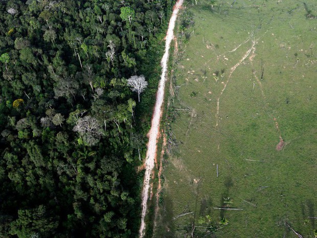 24 bức ảnh cho thấy rừng Amazon từ lá phổi xanh của thế giới đã trở thành chứng tích cho sự tàn phá của con người - Ảnh 17.