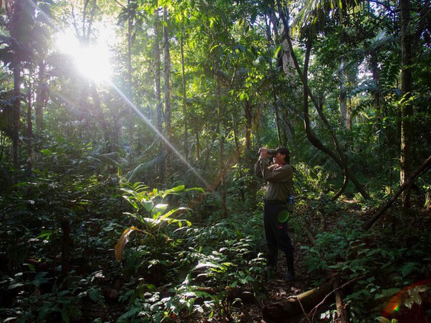 24 bức ảnh cho thấy rừng Amazon từ lá phổi xanh của thế giới đã trở thành chứng tích cho sự tàn phá của con người - Ảnh 24.