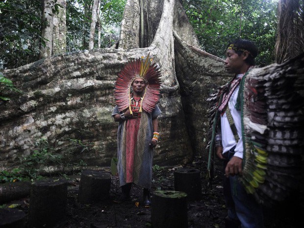 24 bức ảnh cho thấy rừng Amazon từ lá phổi xanh của thế giới đã trở thành chứng tích cho sự tàn phá của con người - Ảnh 8.