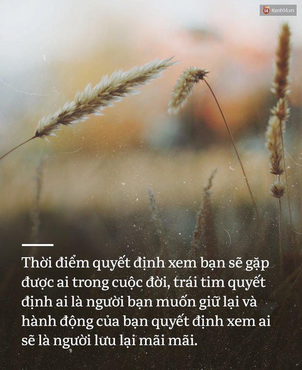 13 câu nói xứng đáng để bạn chọn làm châm ngôn sống của năm 2019 - Ảnh 21.