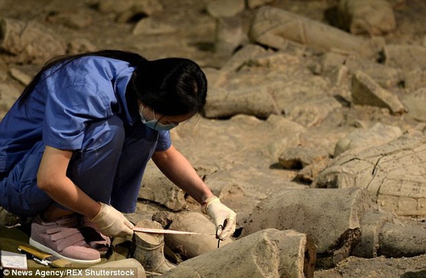 Trung Quốc khai quật khu lăng mộ có niên đại hơn 1.500 năm  - Ảnh 1.