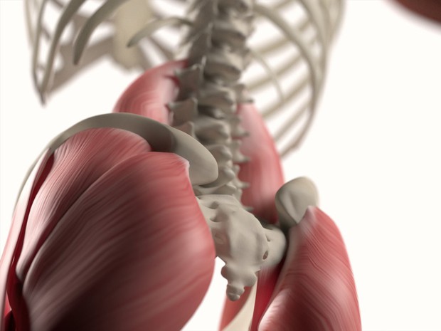 9 bộ phận cơ thể giờ đây con người không cần dùng đến nữa, đặc biệt nhất là cái cuối cùng - Ảnh 5.