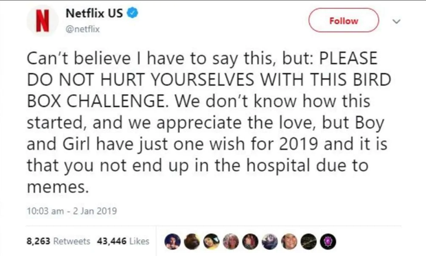 Nhiễm phim “Bird Box” tới mức nguy hiểm báo động, Netflix phải khuyến cáo người xem dừng lại - Ảnh 6.