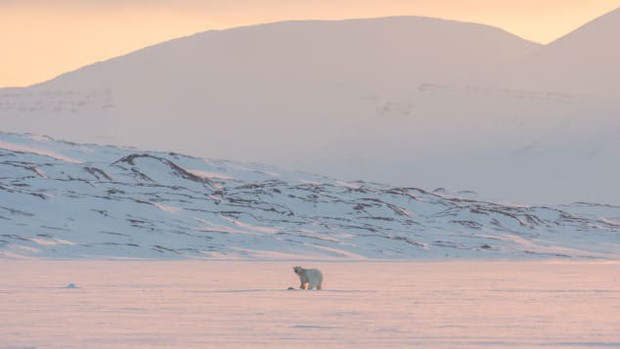 Khách sạn “mọc” lên ở Bắc cực: cơ hội cho khách du lịch nghỉ dưỡng ở xứ sở quanh năm lạnh giá - Ảnh 3.