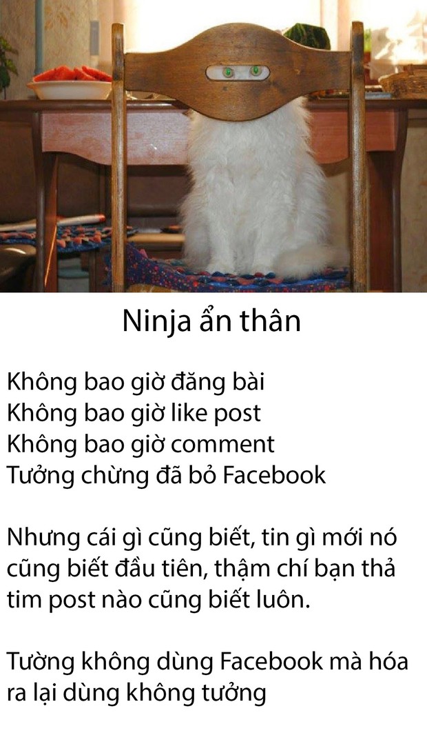 Những kiểu người điển hình xuất hiện nhan nhản trên mạng xã hội mà chúng ta chắc chắn đã gặp - Ảnh 9. Những kiểu người điển hình xuất hiện nhan nhản trên mạng xã hội mà chúng ta chắc chắn đã gặp - Ảnh 9.