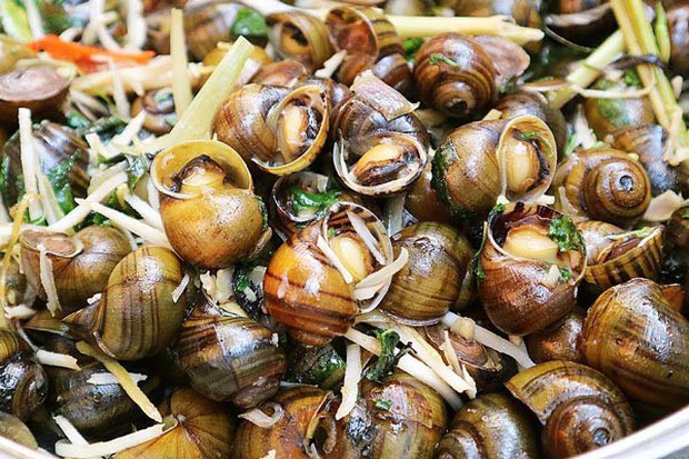 Ăn loại ốc này vào mùa thu đông không chỉ ngon mà còn chữa được vô số bệnh hay ho thế này! - Ảnh 1.