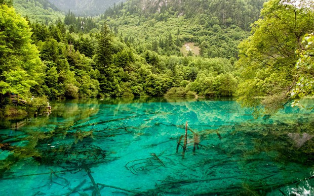 Hòn đảo duy nhất của Việt Nam bất ngờ lọt top những nơi có làn nước trong xanh nhất thế giới, bạn đã đi chưa? - Ảnh 21.