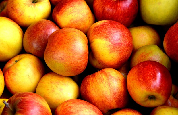 apple-apples-close-up-162806-15710290643881526461537.jpg