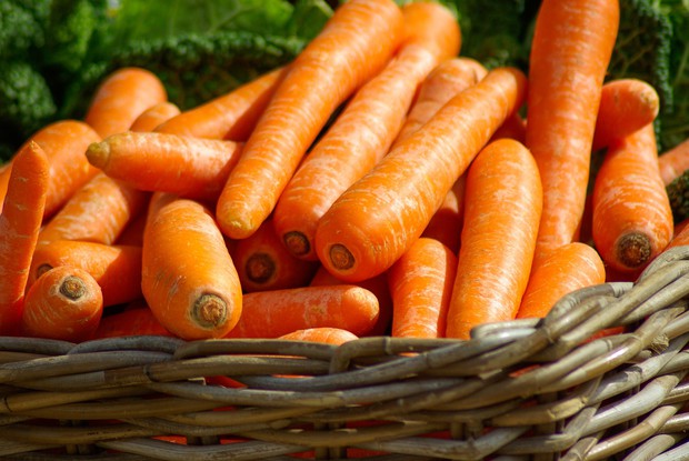 carrots-close-up-orange-37641-15710290644081911819024.jpg