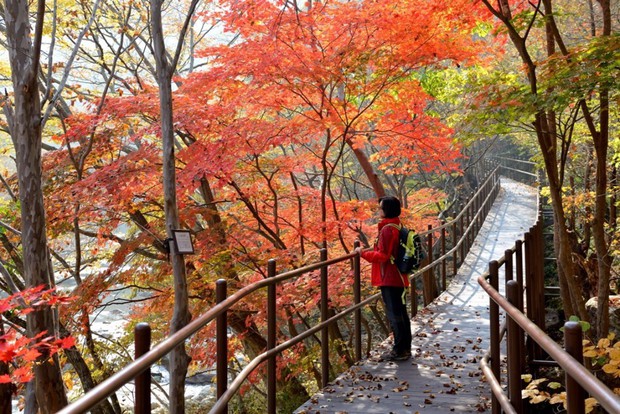 Đi Hàn Quốc mùa thu mà không ngắm lá đỏ thì uổng phí cả thanh xuân, lên lịch để hốt hình sống ảo liền nè! - Ảnh 15.