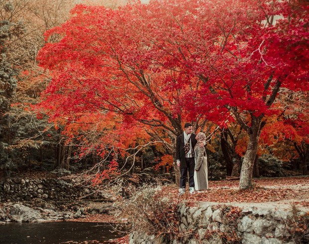 Đi Hàn Quốc mùa thu mà không ngắm lá đỏ thì uổng phí cả thanh xuân, lên lịch để hốt hình sống ảo liền nè! - Ảnh 2.