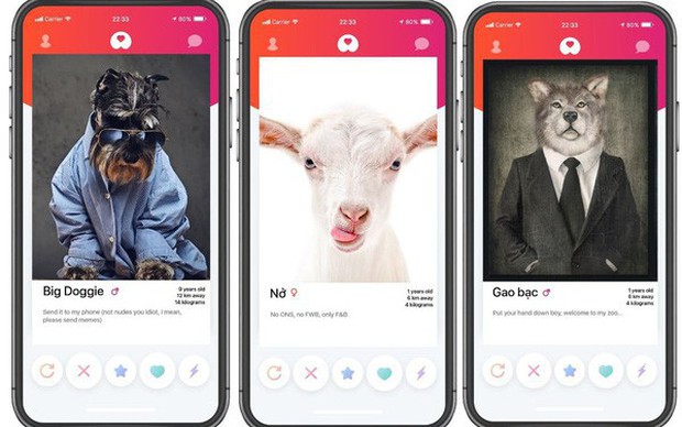 Nhóm bạn trẻ làm ứng dụng hẹn hò thú cưng đầu tiên tại Việt Nam: Ý tưởng đột phá hay ăn no rửng mỡ? - Ảnh 1.