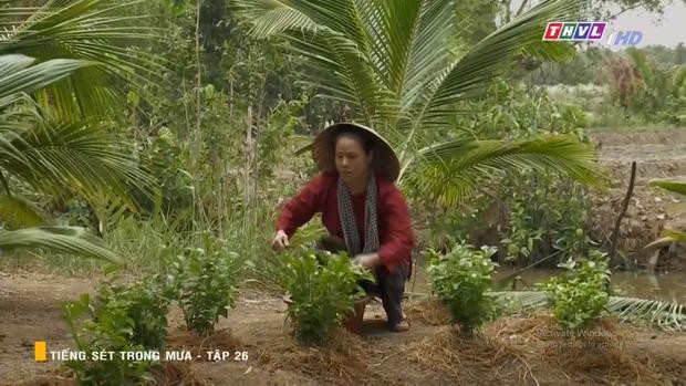 Lấy chồng phải chọn người như ông Quý (Tiếng Sét Trong Mưa): Dành cả đời đi tìm tiếng yêu của Thị Bình - Ảnh 2.