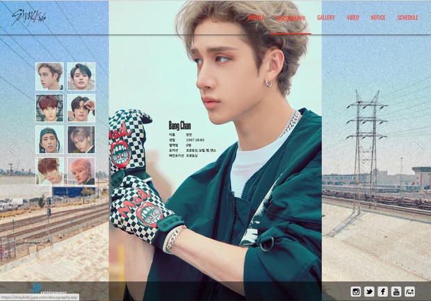 Sốc: Debut chưa bao lâu, JYP bất ngờ thông báo main vocal Stray Kids rời nhóm với lý to mập mờ, lập tức xoáảhh profile làm fan hoang mang - Ảnh 2. Sốc: Debut chưa bao lâu, JYP bất ngờ thông báo main vocal Stray Kids rời nhóm với lý to mập mờ, lập tức xoáảhh profile làm fan hoang mang - Ảnh 2.