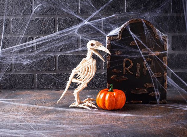 Thói quen dùng mạng nhện giả trang trí mùa Halloween: Siêu rẻ và ma mị, nhưng lại là một thảm họa sinh thái thực sự - Ảnh 3.