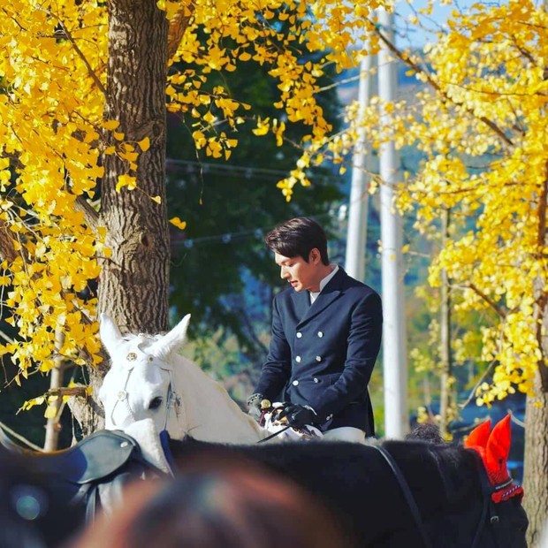 Thu đi để lại lá vàng, nhìn Lee Min Ho cưỡi ngựa trắng mà lòng chị em réo vang: Mau chiếu phim nhà đài ơi! - Ảnh 5.