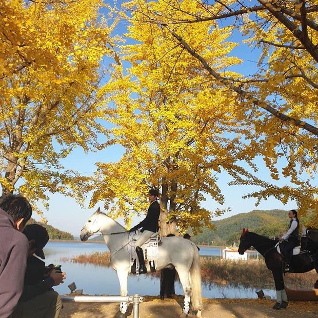 Thu đi để lại lá vàng, nhìn Lee Min Ho cưỡi ngựa trắng mà lòng chị em réo vang: Mau chiếu phim nhà đài ơi! - Ảnh 9.