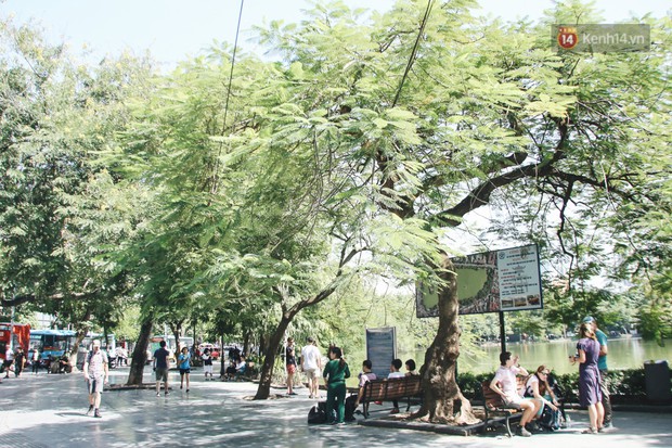 Người Hà Nội nói gì trước đề xuất cấm phương tiện lưu thông quanh Hồ Hoàn Kiếm trong 1 tháng? - Ảnh 12.