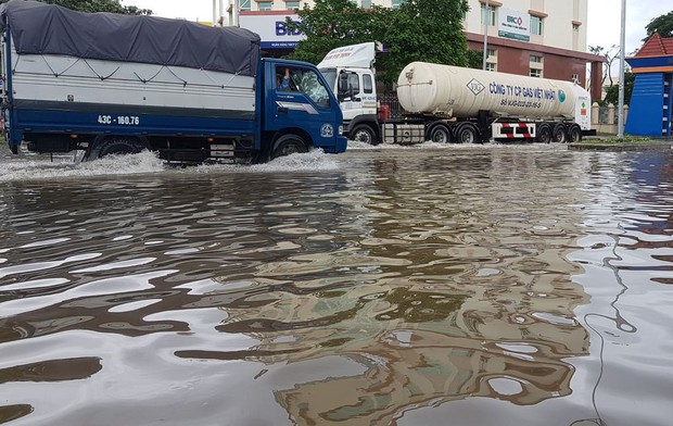 Đà Nẵng: Cây xanh ngã hàng loạt sau bão số 5, nhiều đoạn đường bị ngập khiến giao thông hỗn loạn - Ảnh 10.