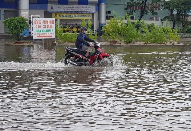 Đà Nẵng: Cây xanh ngã hàng loạt sau bão số 5, nhiều đoạn đường bị ngập khiến giao thông hỗn loạn - Ảnh 11.